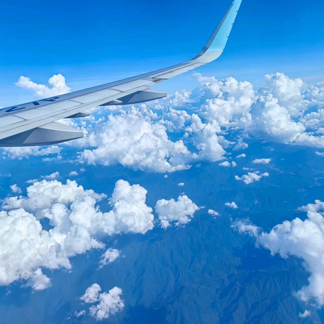 落叶…૮₍◜ෆ◝.₎ა