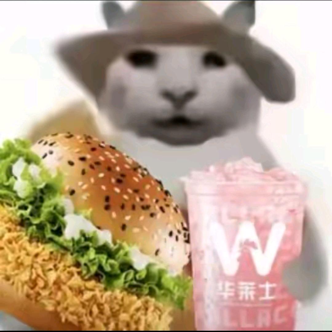 洛L