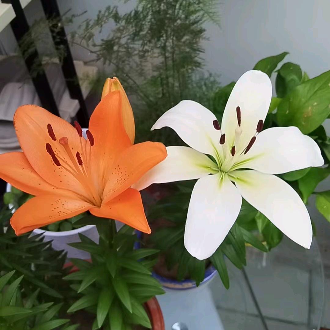 ❤️天地壹号❤️