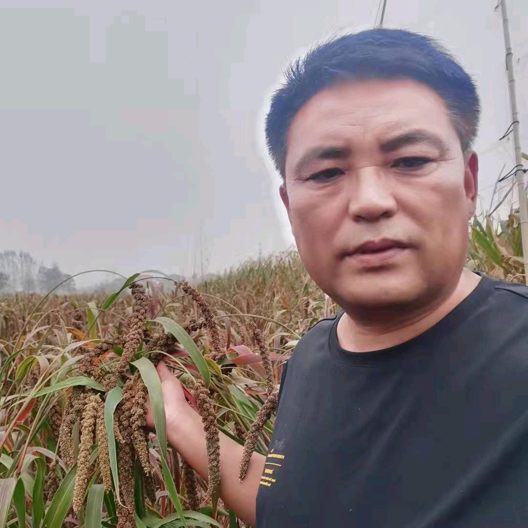 淮阳黑谷