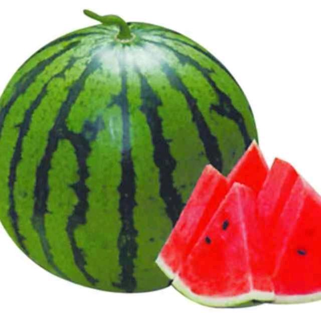 贝贝水果        中华