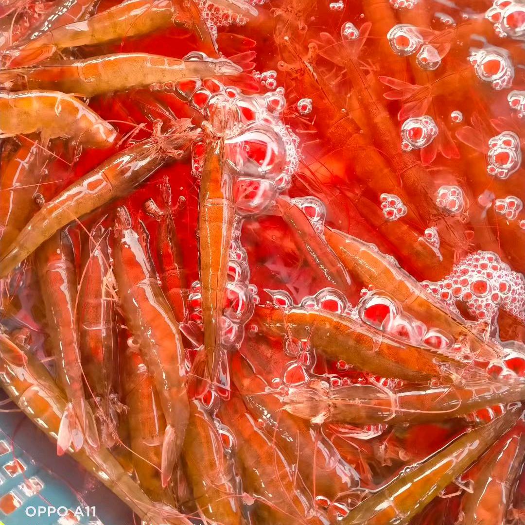 北塘小辉海鲜