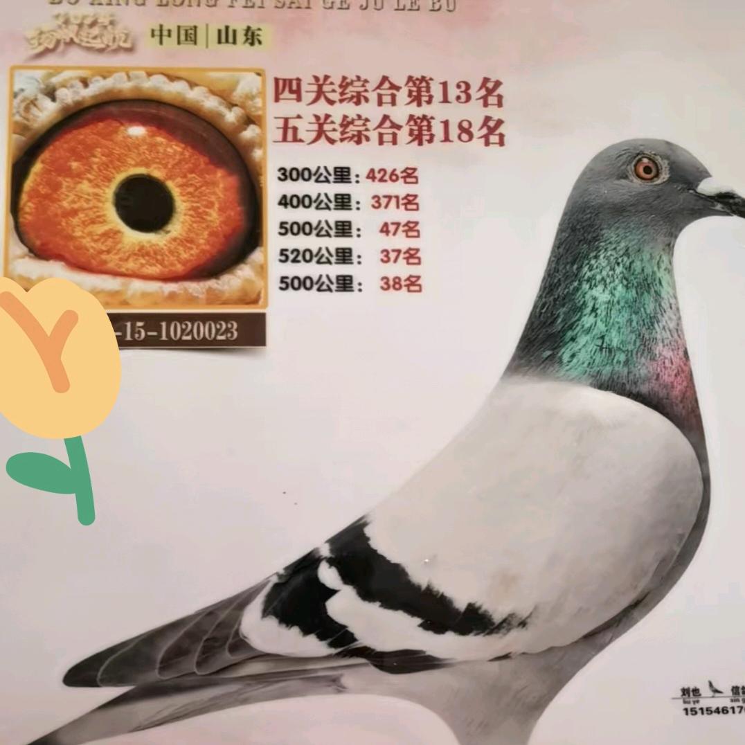 奋斗