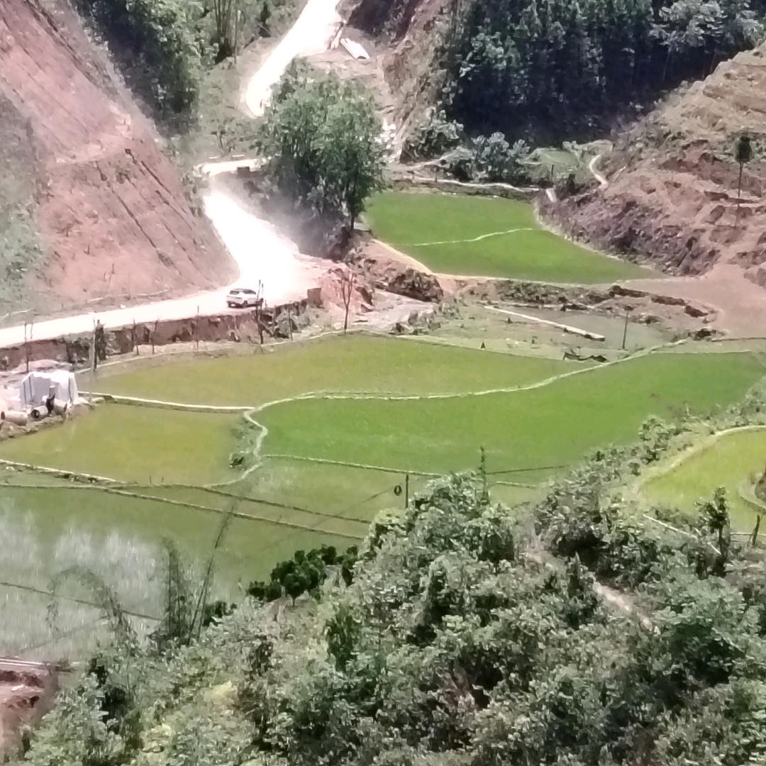 小梅