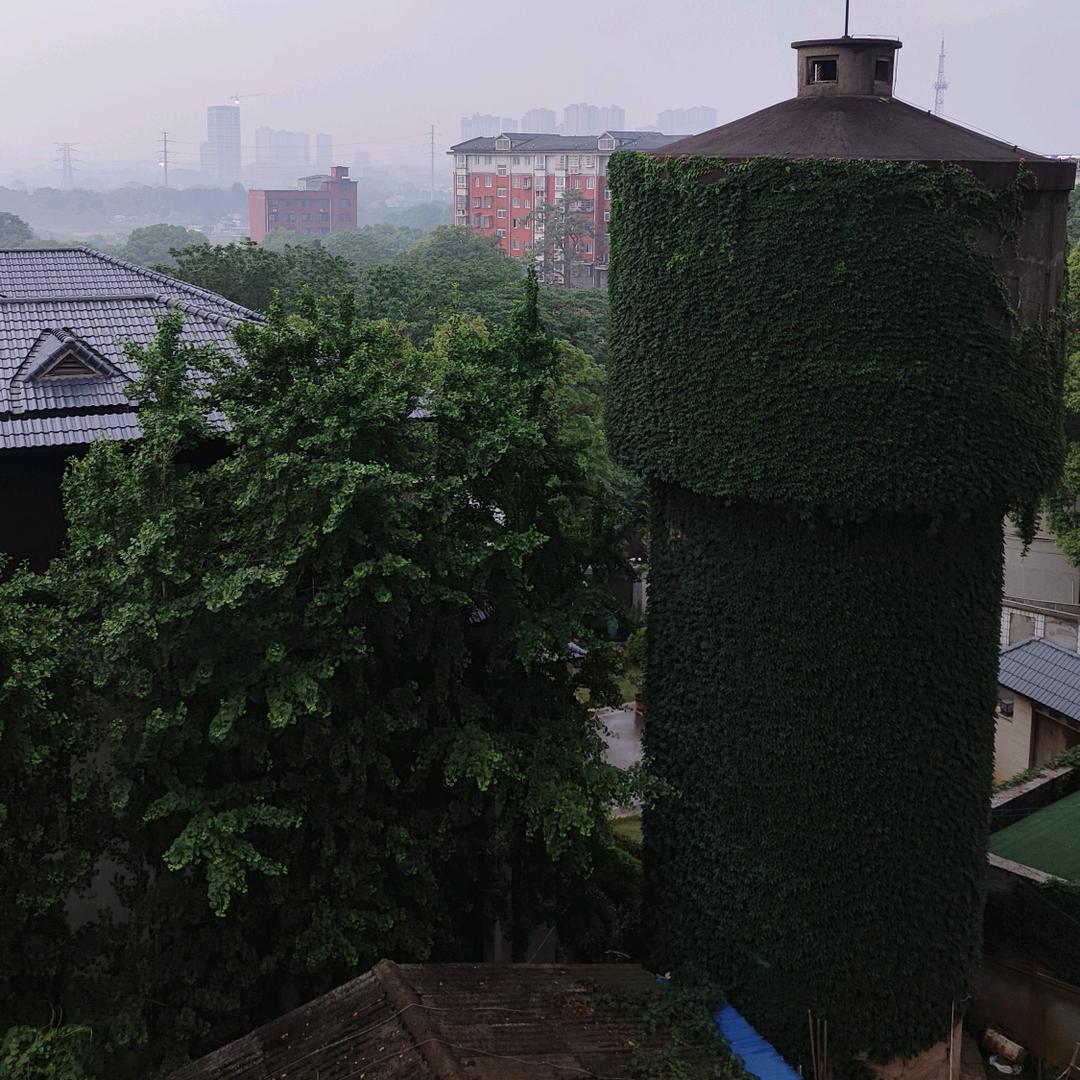 路上