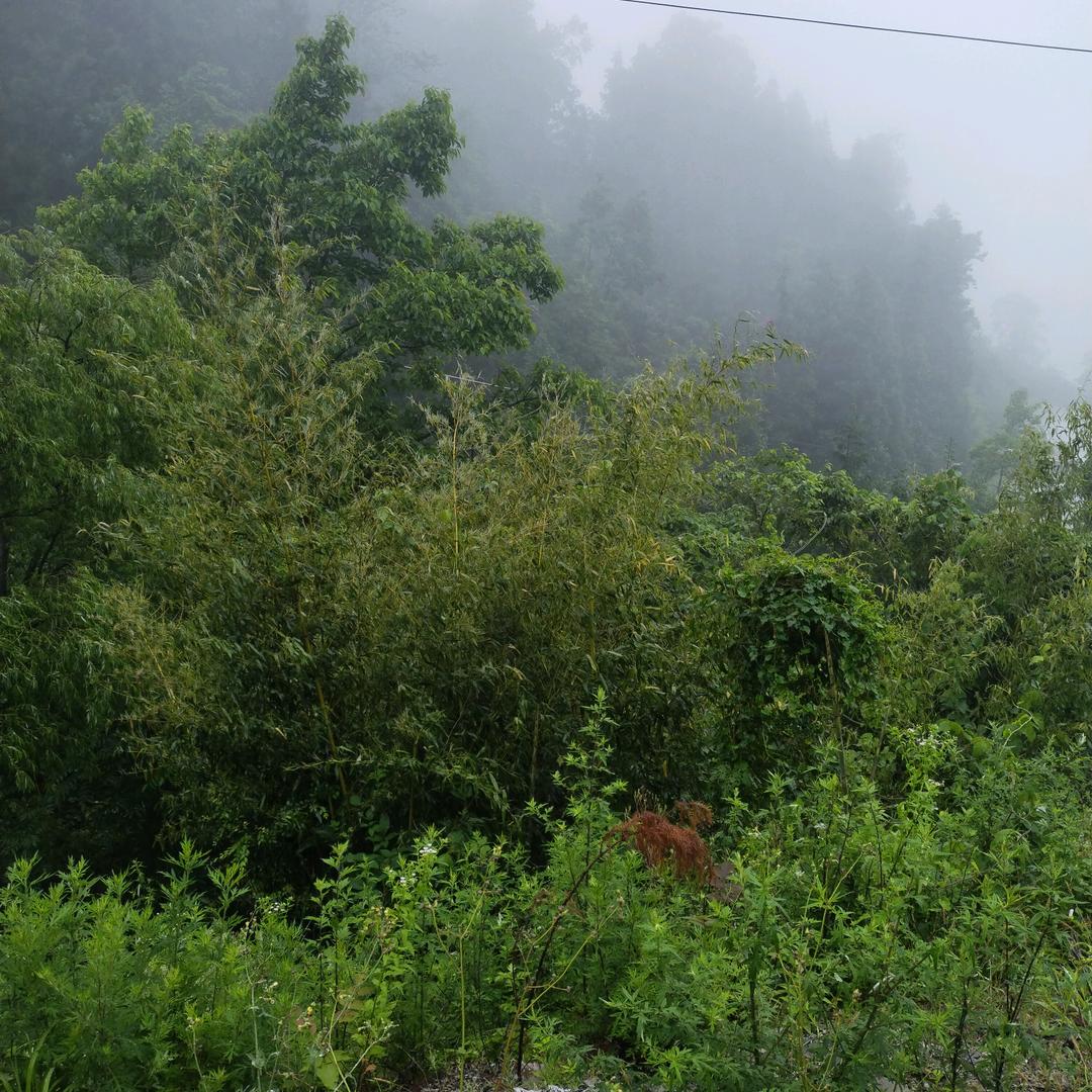 瞎逛