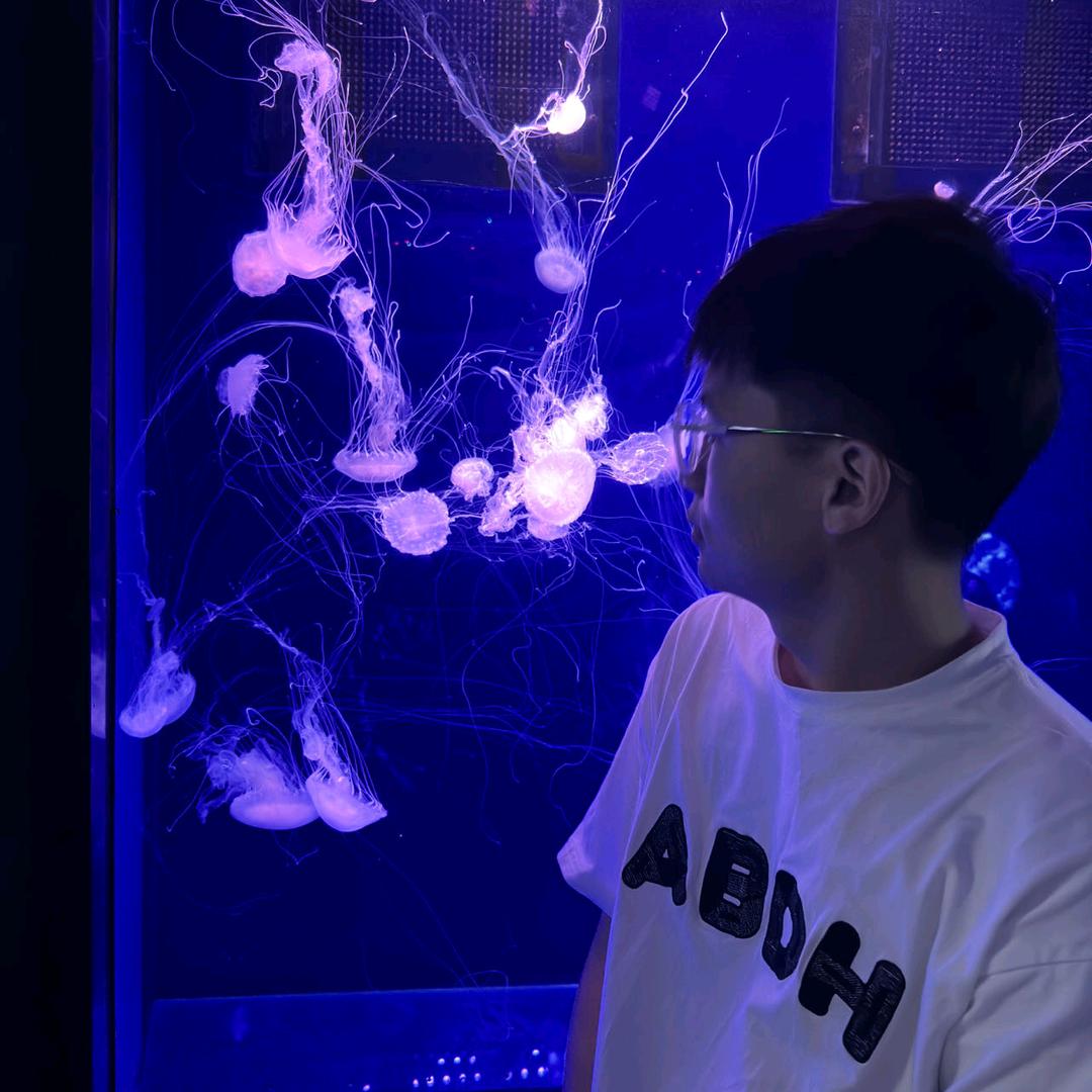 小羊崽崽
