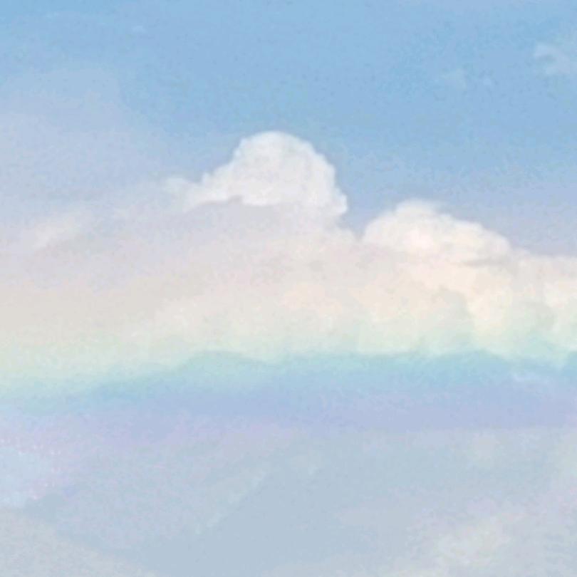 紫雨