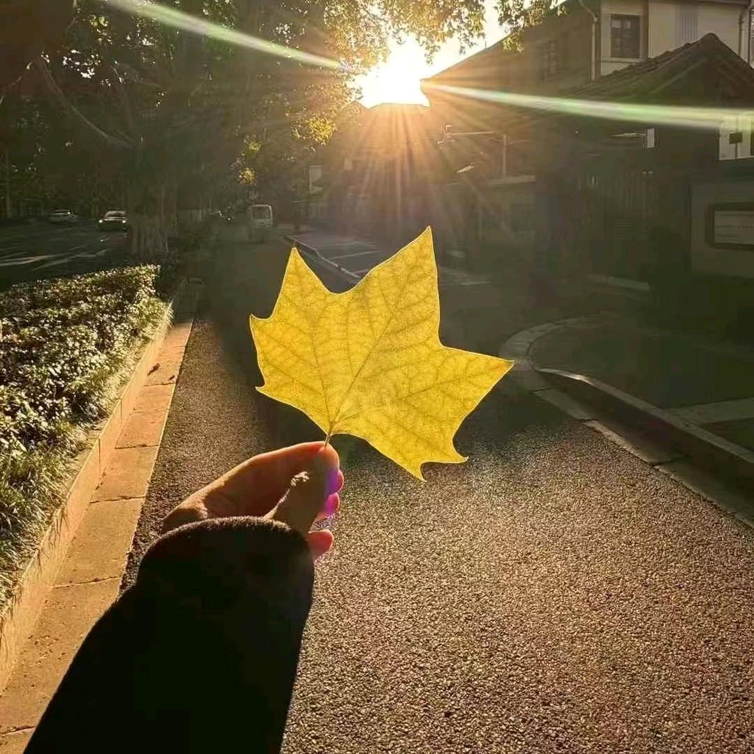 木马