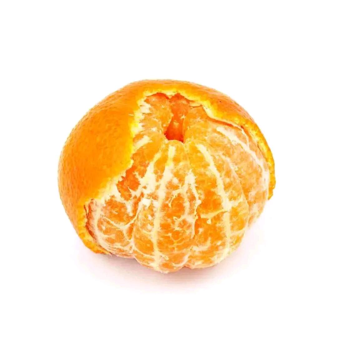 松尾橘🍊