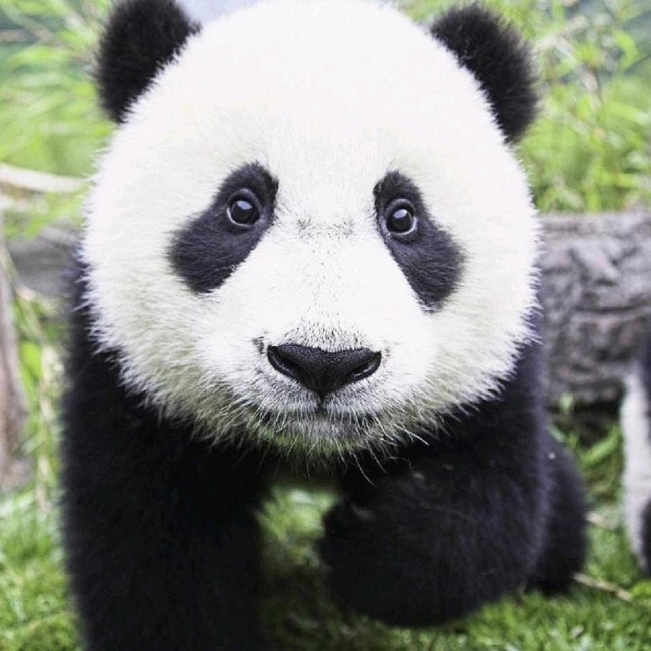 扬州南京合乘顺风车！小果果