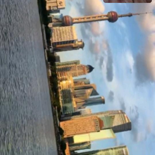 喵喵不喜欢猫🐱