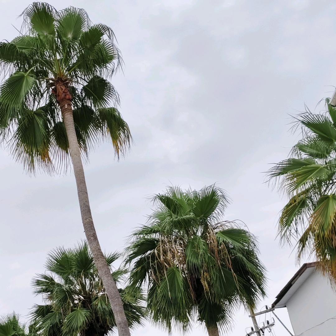 罗勇壹號商务会所