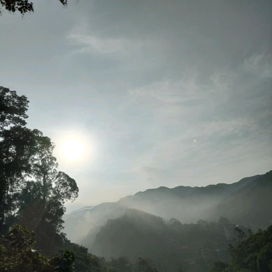 大懒虫