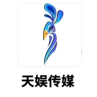 深圳天娱传媒