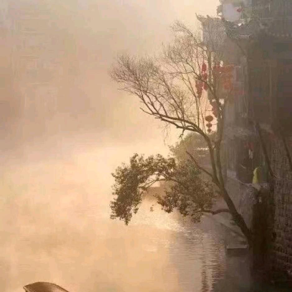 终究还是你大爷