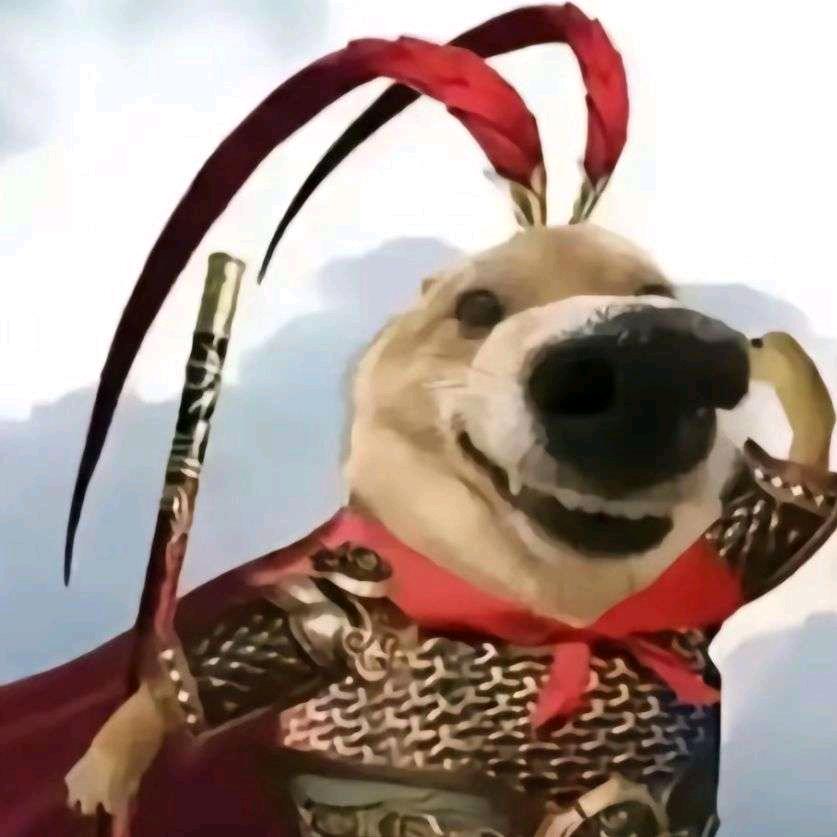 傻大博