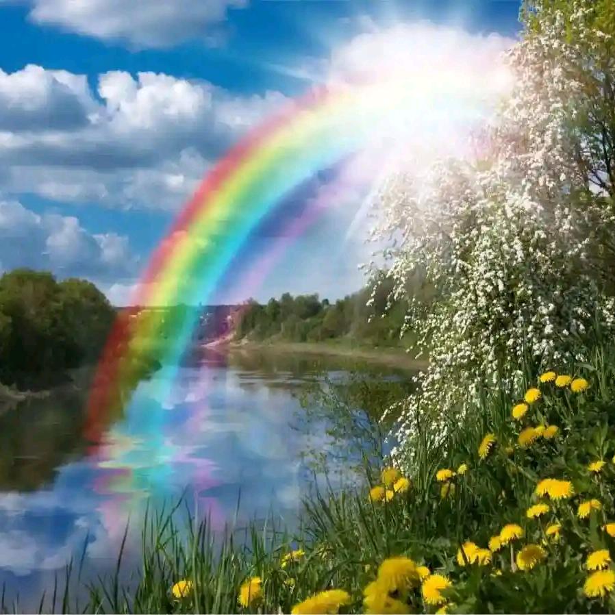 幸福119671孙兆旭