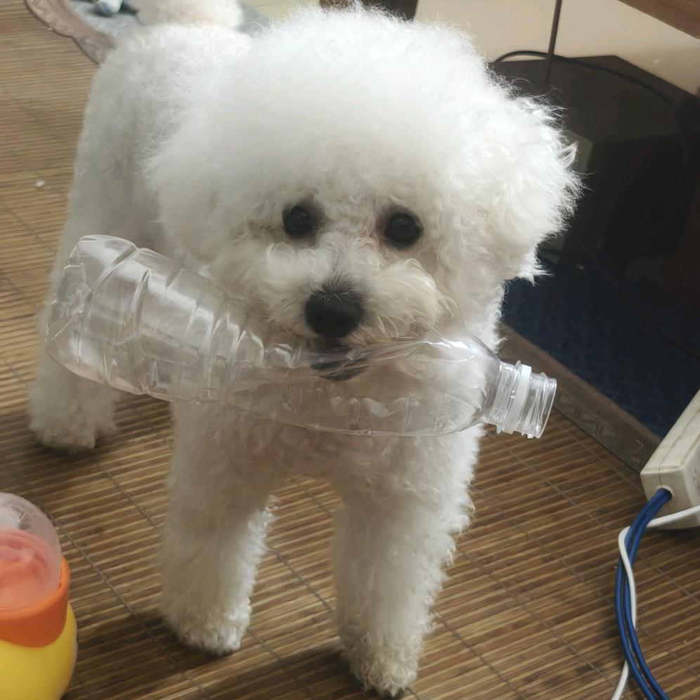 家有小楷哥🦀