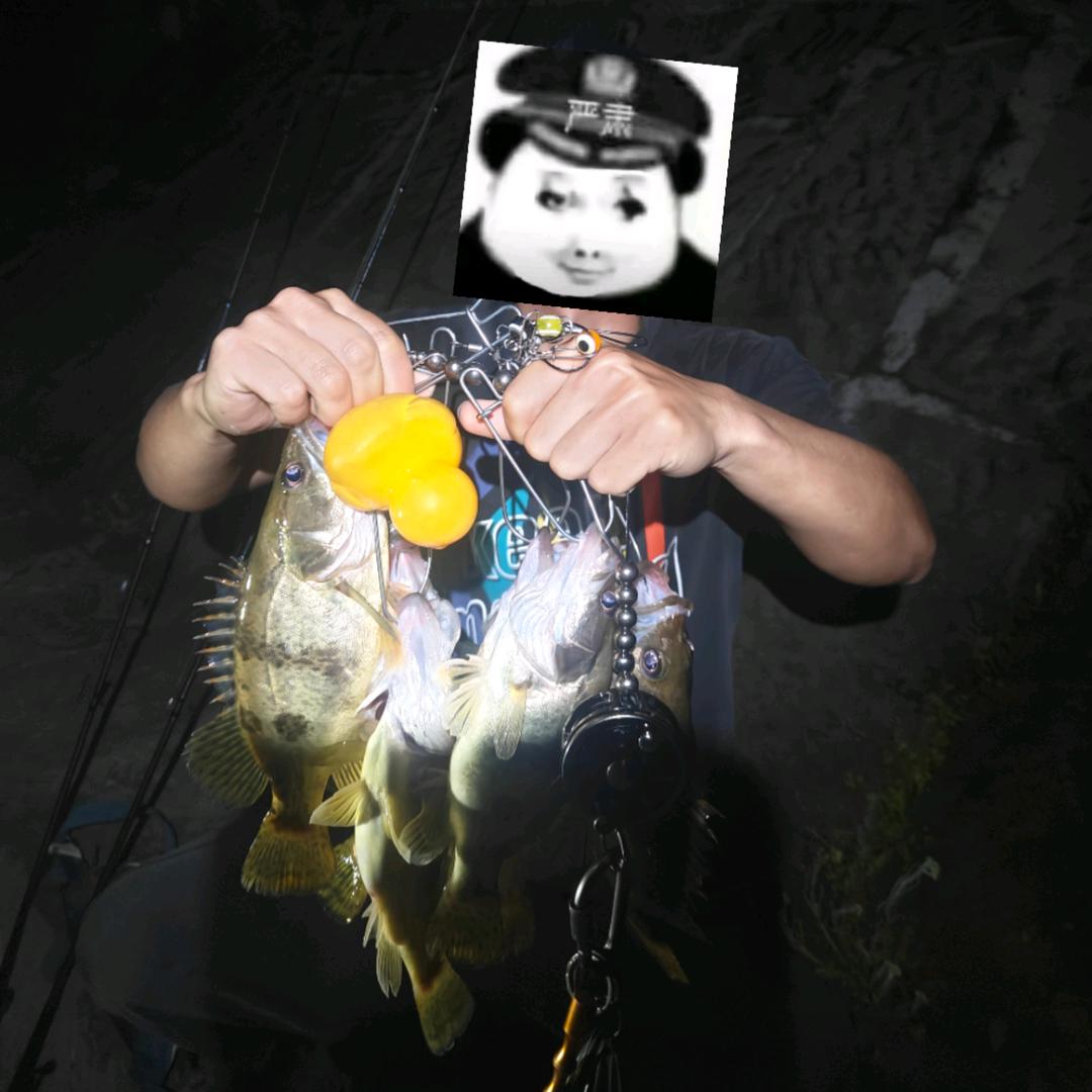 阿勇路亚🎣【收售二手路亚装备】