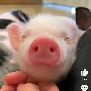 😊☀️