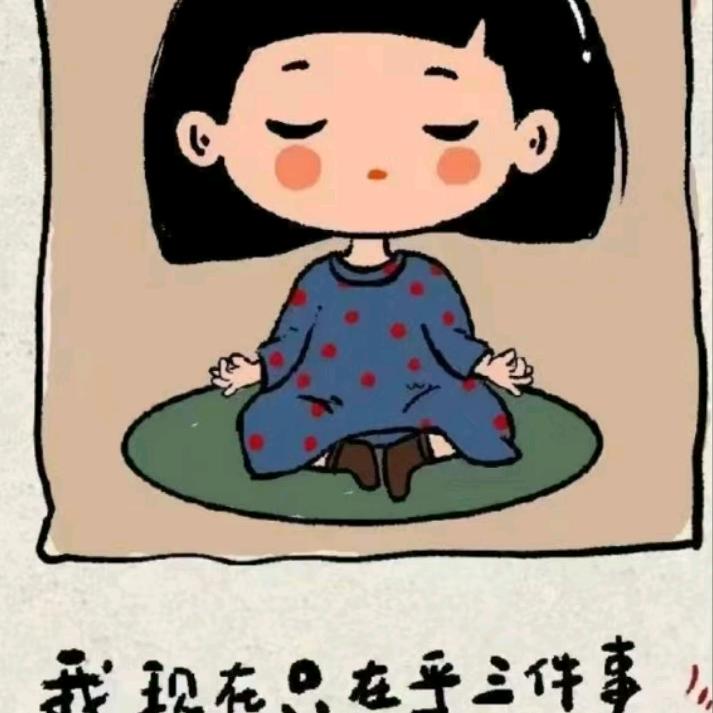 随意而安