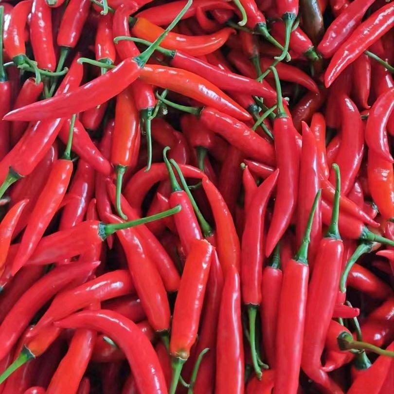 一口鲜水果生鲜