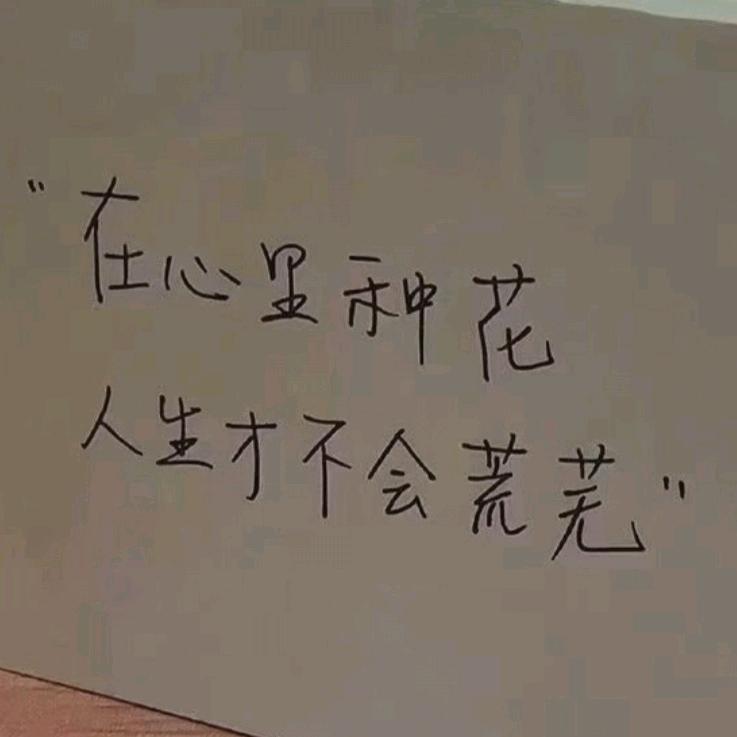 静待花开🐾