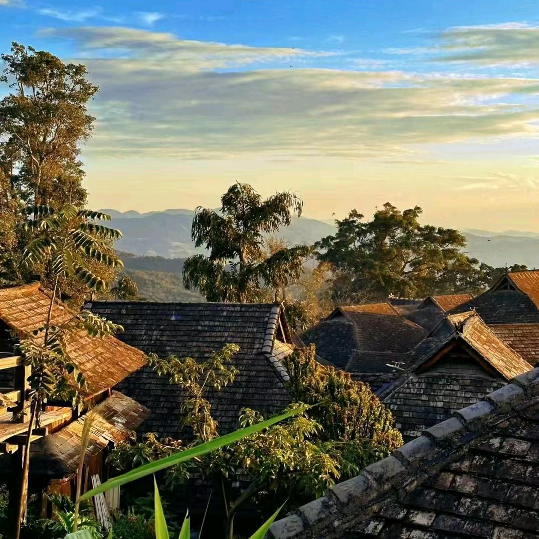 三横一竖🇨🇳