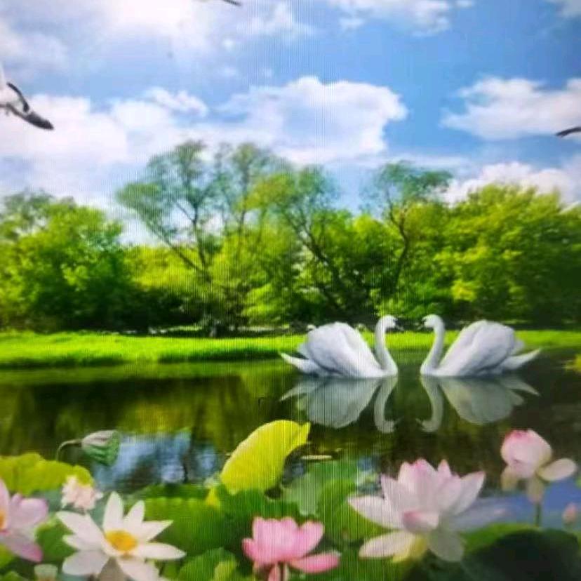 王跃鸿自媒体🔥🔥