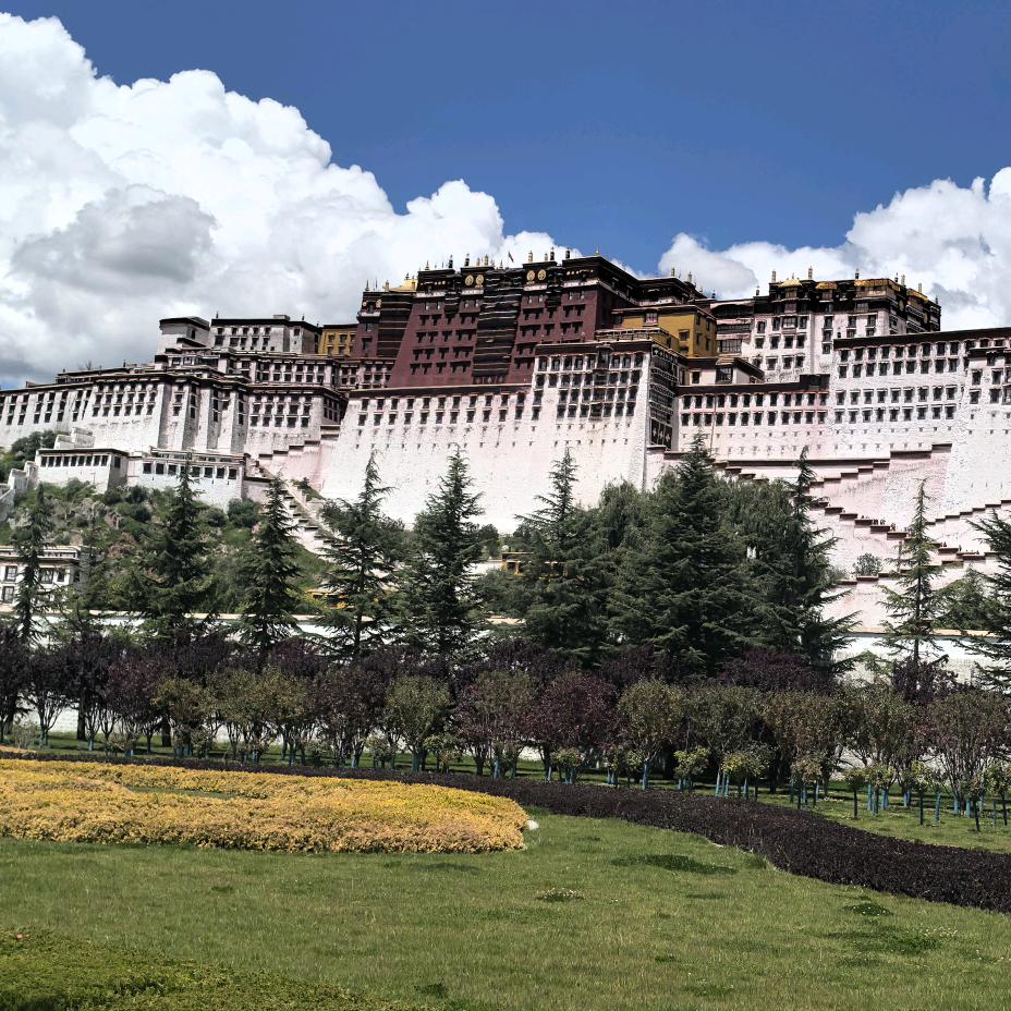 时光旅行家