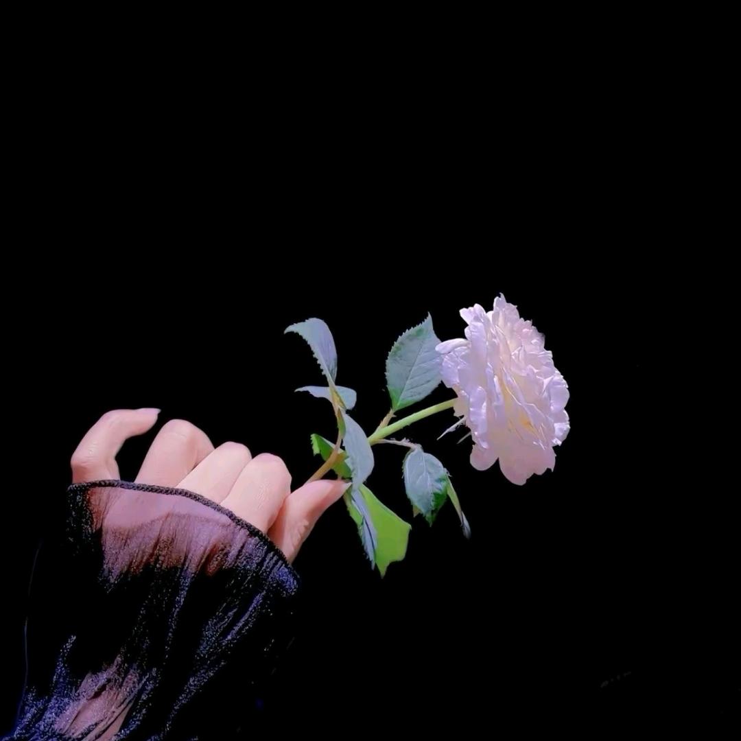 世俗💋