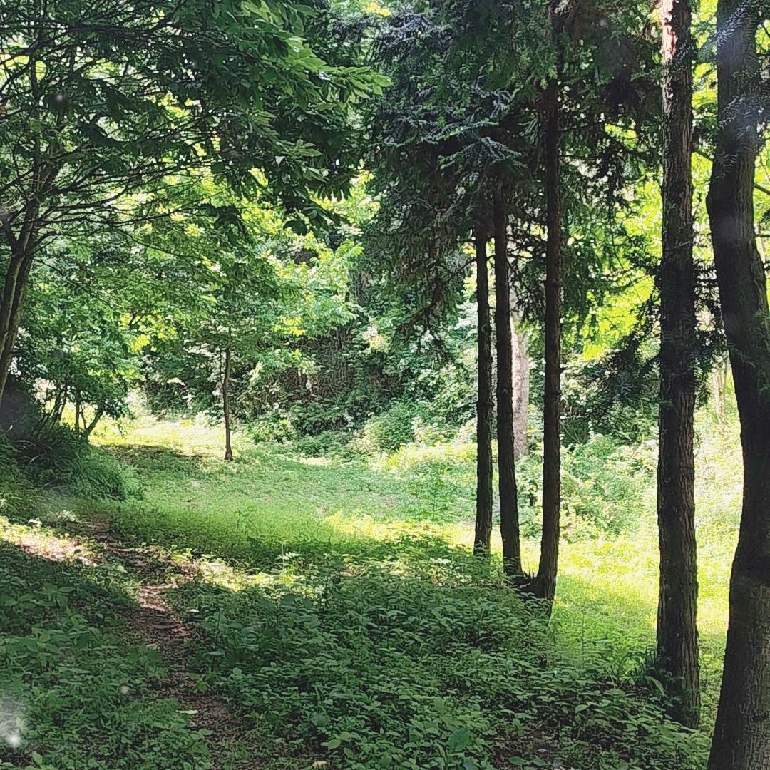 山里人🐴的头像