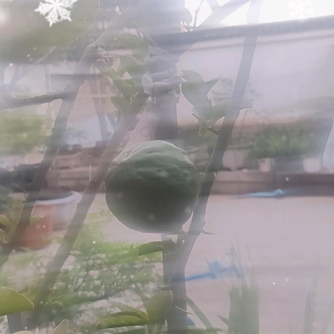 芸汐汐