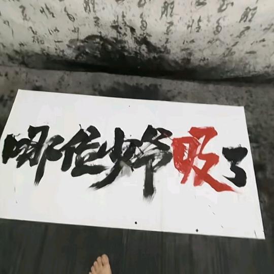 Kite
