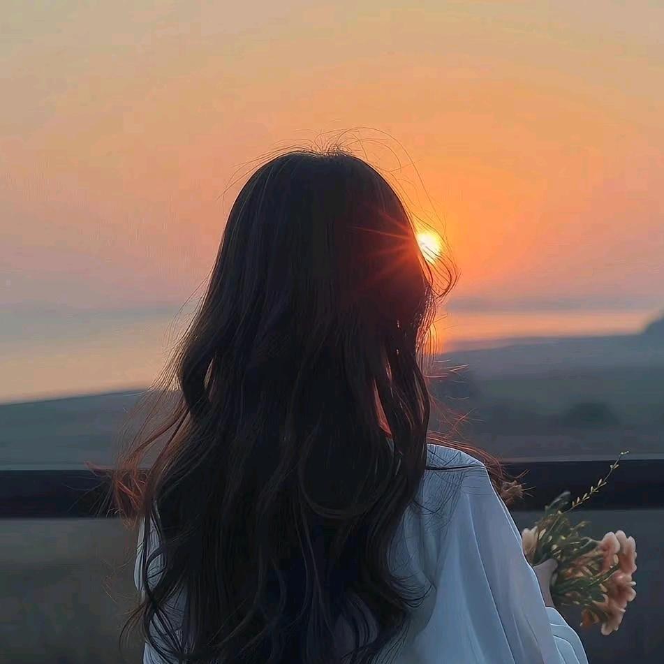 太阳🌻