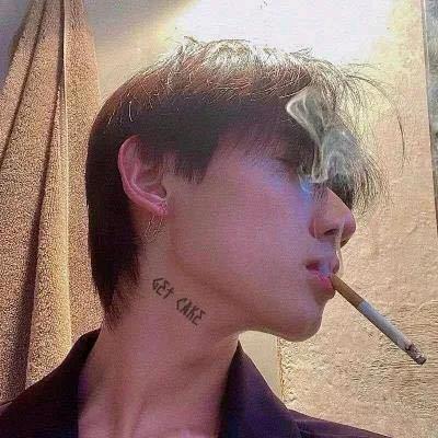 一头大白菜