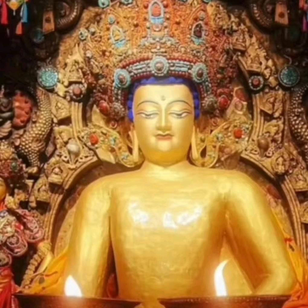 用户7774469988432