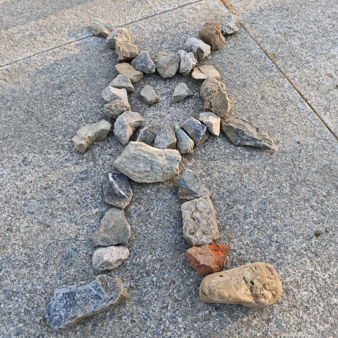 小椒盐的葡萄籽