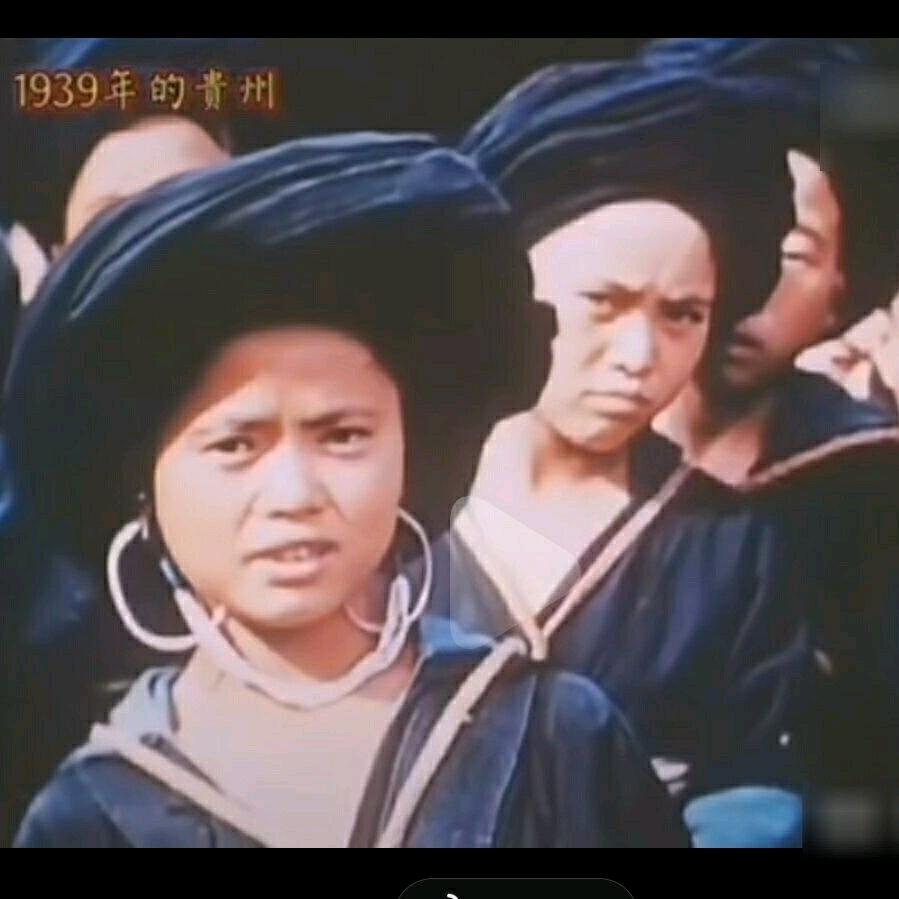 九黎小草（苗药）