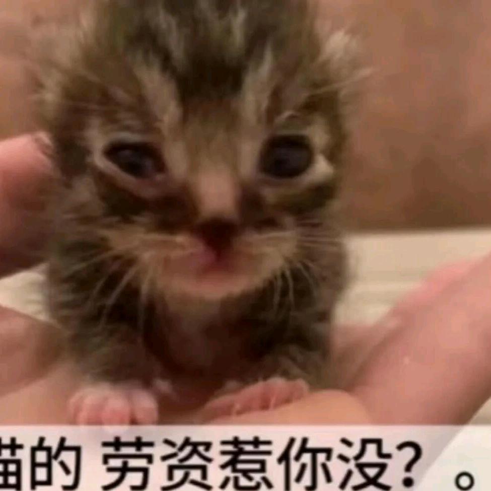 83岁绝望后妈半夜不睡觉打继子屁股