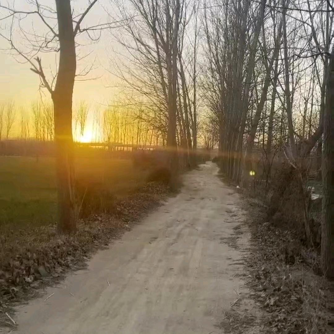 英雄杀洛水