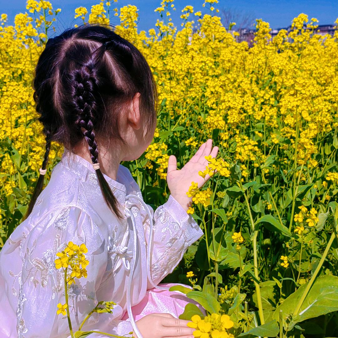 大木