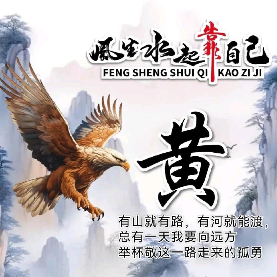 ✨💕ꦿ᭄神鹰✨༉ᩚ᭄
