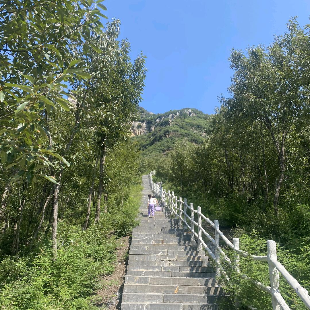 荣华富贵