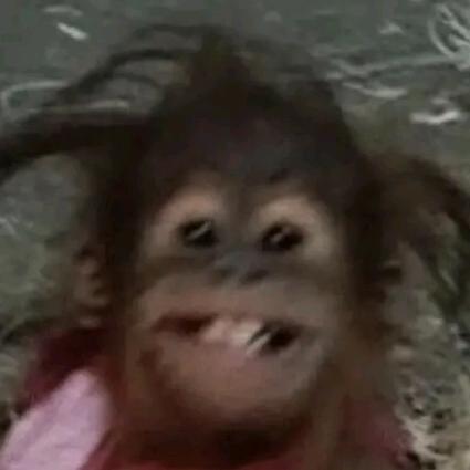 嘿嘿头像