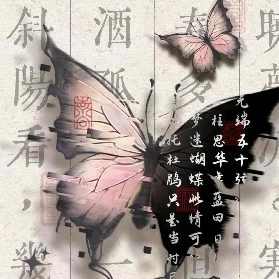 你可真是活泼的小姐姐