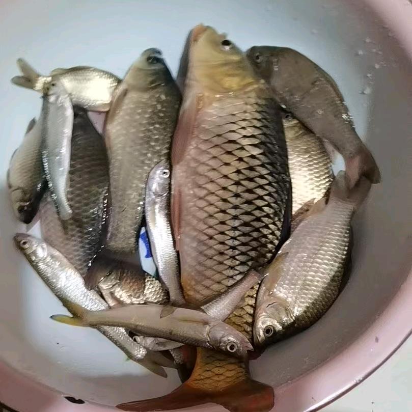 室内装修   外墙粉刷