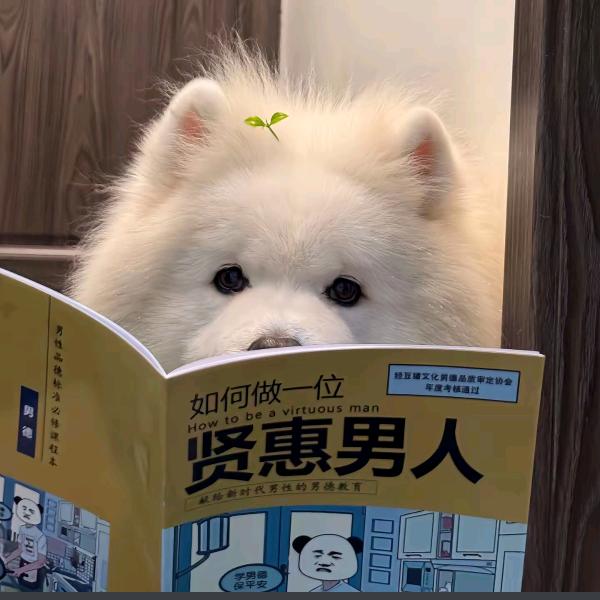 不是山谷
