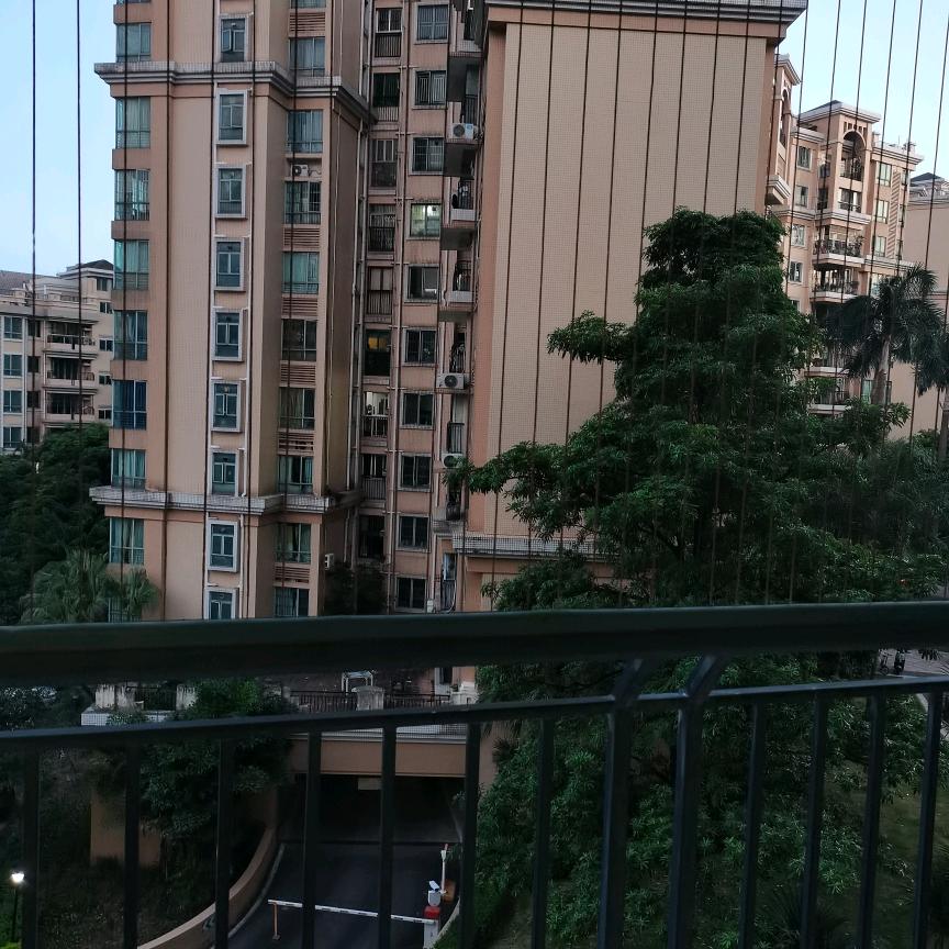 向往